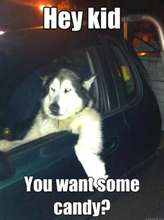 Mean Dog