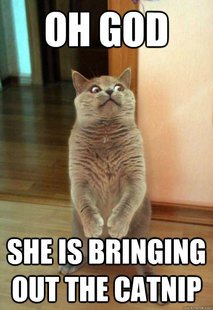 Horrorcat