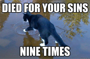 Jesus Cat