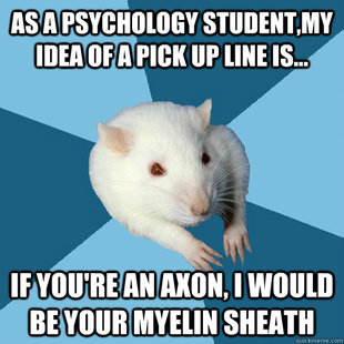 Psychology Major Rat