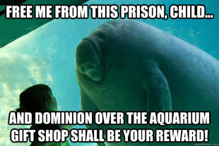 Overlord Manatee