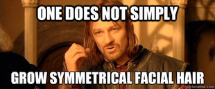 One Does Not Simply