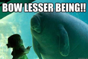 Overlord Manatee