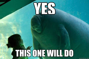 Overlord Manatee