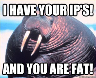 Relationship Advice Walrus