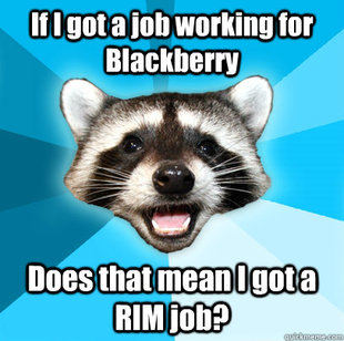 Lame Pun Coon