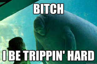 Overlord Manatee