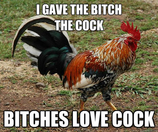 Red Team Rooster