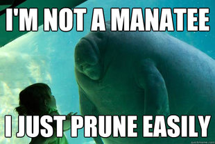 Overlord Manatee