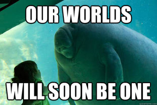 Overlord Manatee