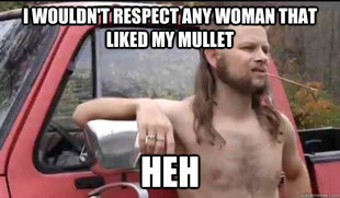 Almost Politically Correct Redneck