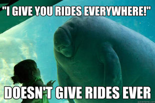Overlord Manatee