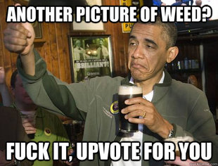 Upvoting Obama