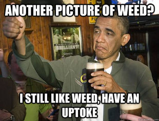 Upvoting Obama