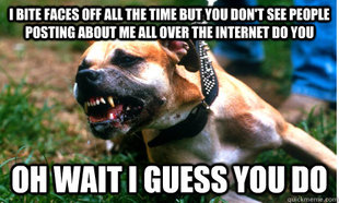 Angry Pit Bull