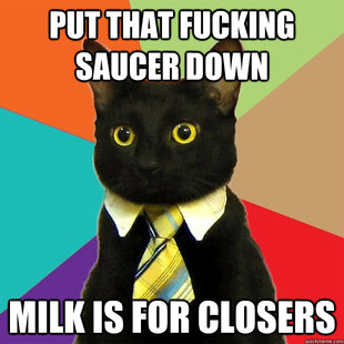 business cat