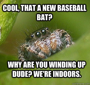 Misunderstood Spider