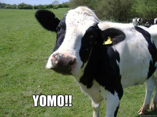 You only live once