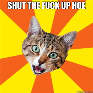 Bad Advice Cat