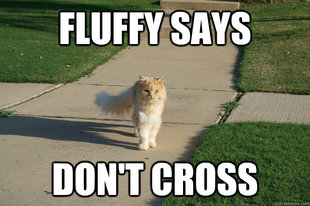 Fluffy Says