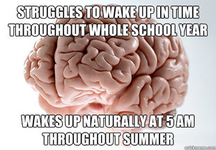 Scumbag Brain