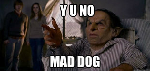 mad dog harry!!