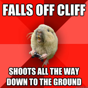 Gaming Gopher