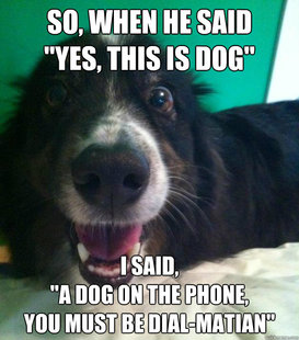 Bad Joke Dog