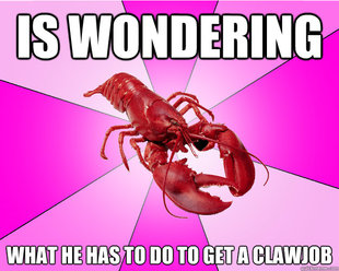 Long-term relationship Lobster