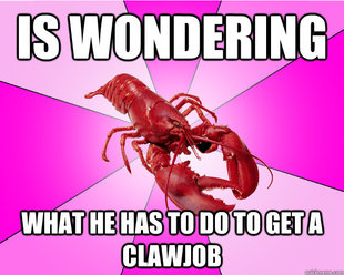 Long-term relationship Lobster