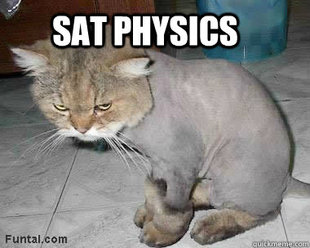 Angry cat
