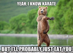 Karate Bear