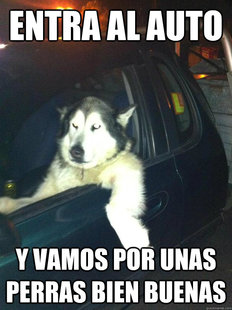 Mean Dog
