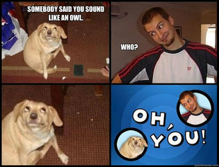 Oh you!