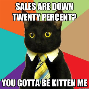 business cat
