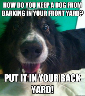 Bad Joke Dog