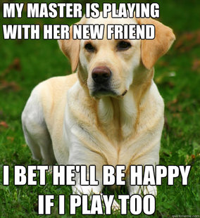 Dog Logic
