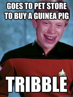 Bad Luck Ensign Brian