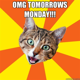 Bad Advice Cat
