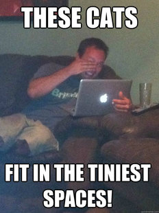 Meme Dad