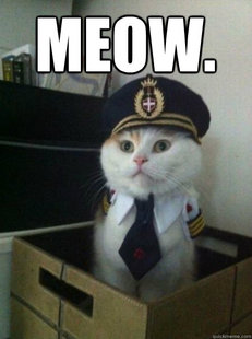 Captain kitteh