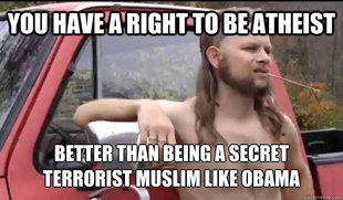 Almost Politically Correct Redneck