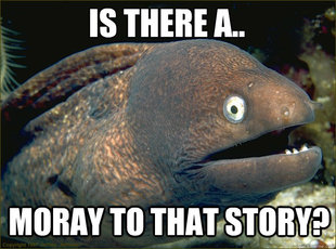 Caught in the act Moray