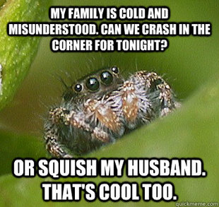 Misunderstood Spider