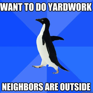 Socially Awkward Penguin