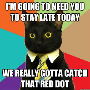 business cat