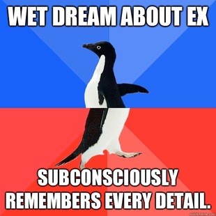 Socially Awkward Awesome Penguin