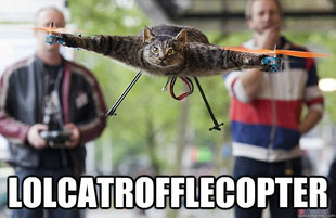 lolcatrofflecopter