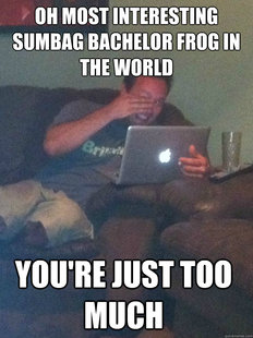 Meme Dad