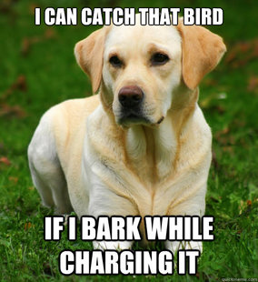 Dog Logic